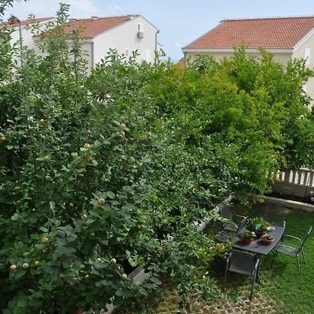 Apartment Ivi Makarska